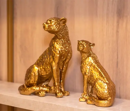 CLINICA DRA CARLA - 4